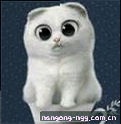 张凯